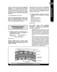 Klinisyen Soruları Mikrobiyoloji ( 15.Baskı )