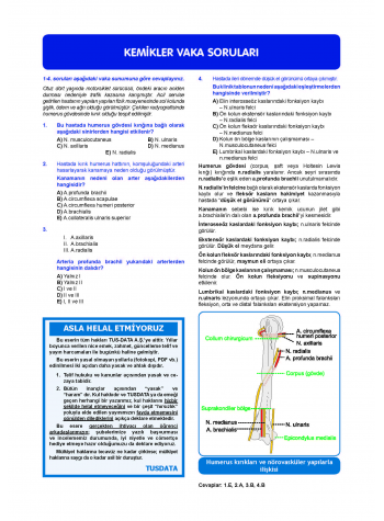 Vaka Soruları ANATOMİ ( 1.Baskı )