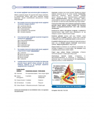 Vaka Soruları ANATOMİ ( 1.Baskı )