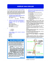 Vaka Soruları ANATOMİ ( 1.Baskı )