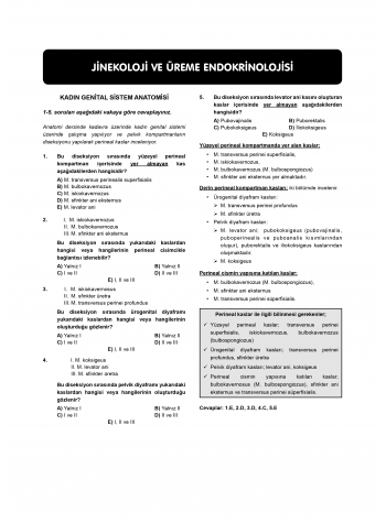 Vaka Soruları Kadın Doğum ( 6.Baskı )