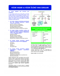 Vaka Soruları PATOLOJİ ( 2.Baskı )