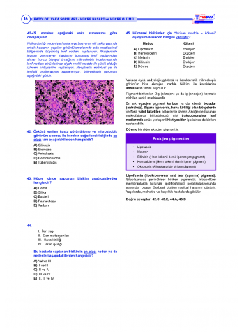 Vaka Soruları PATOLOJİ ( 2.Baskı )