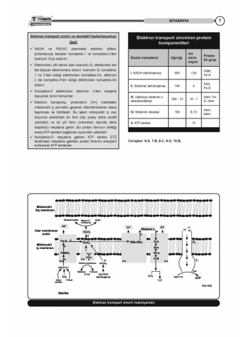 VAKA SORULARI SERİSİ - BİYOKİMYA ( 1.Baskı )