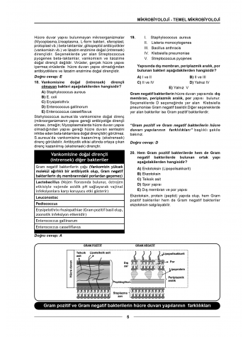 Meditus Soruları ( 3.Baskı ) Mikrobiyoloji