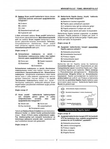 Meditus Soruları ( 3.Baskı ) Mikrobiyoloji