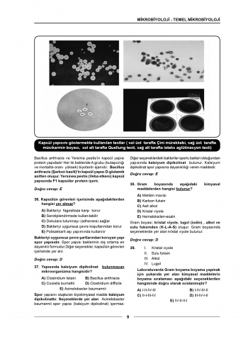 Meditus Soruları ( 3.Baskı ) Mikrobiyoloji