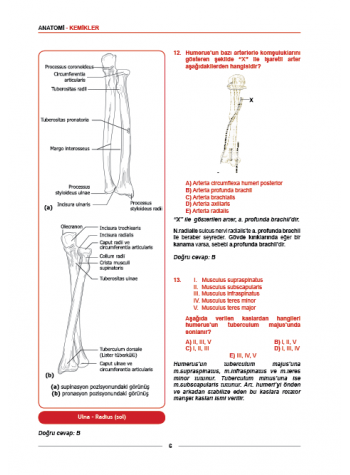Meditus Soruları ( 3.Baskı ) Anatomi