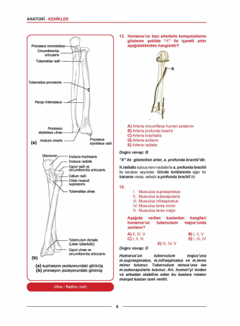 MEDİTUS SERİSİ - ANATOMİ SORULARI / 1.Baskı