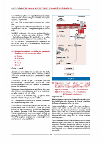 MEDİTUS SERİSİ - PATOLOJİ SORULARI / 1.Baskı