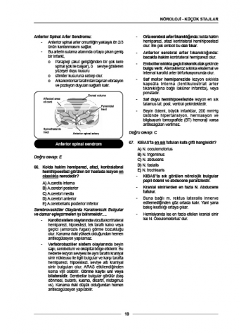 Meditus Soruları - Küçük Stajlar ( 6.Baskı ) Meditus Soruları - Küçük Stajlar ( 6.Baskı )