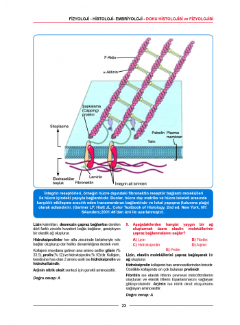 Meditus Soruları ( 3.Baskı ) Fizyoloji