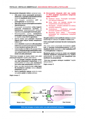 Meditus Soruları ( 3.Baskı ) Fizyoloji