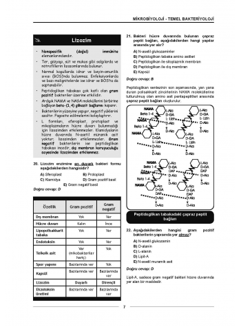 Meditus Soruları ( 3.Baskı ) Mikrobiyoloji