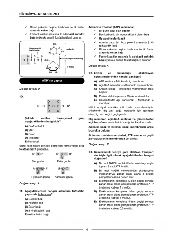 Meditus Soruları ( 4.Baskı ) Biyokimya