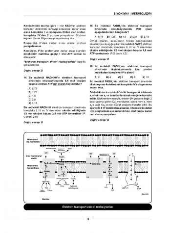 Meditus Soruları ( 4.Baskı ) Biyokimya