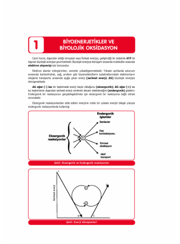 DUS MİADENT KONU ( 6.Baskı ) BİYOKİMYA