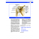 DUS Miadent Soru ( 5.Baskı ) Anatomi