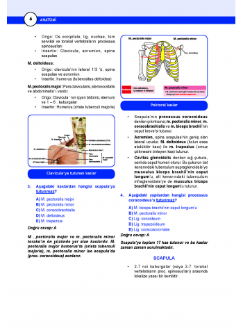 DUS Miadent Soru ( 5.Baskı ) Anatomi
