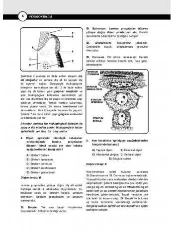 DUS Miadent Soru ( 5.Baskı ) Periodontoloji