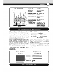 DUS Miadent Soruları ( 7.Baskı ) Mikrobiyoloji