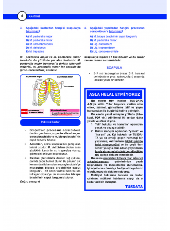 DUS Prodent Soruları ( 10.Baskı ) Anatomi