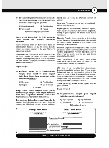 DUS Prodent Soruları ( 10.Baskı ) Mikrobiyoloji