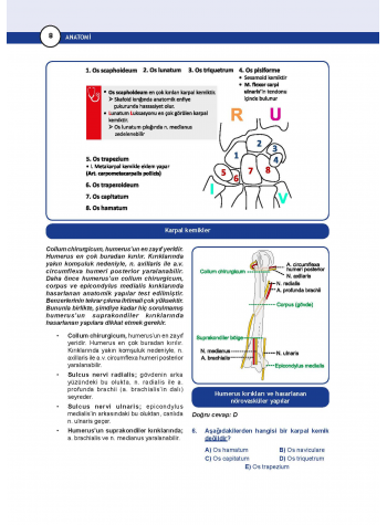 DUS Prodent Soruları ( 9.Baskı ) Anatomi