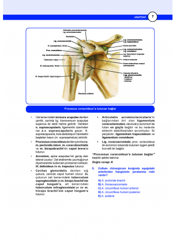 DUS Prodent Soruları ( 9.Baskı ) Anatomi