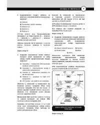 DUS Prodent Soruları ( 9.Baskı ) Biyokimya