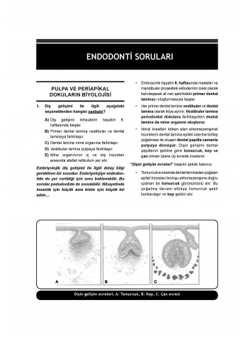 DUS Prodent Soruları ( 9.Baskı ) Endodonti