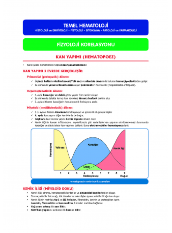 TUS Entegre Temel Hematoloji