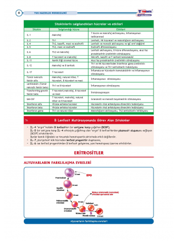 TUS Entegre Temel Hematoloji