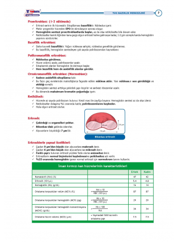 TUS Entegre Temel Hematoloji