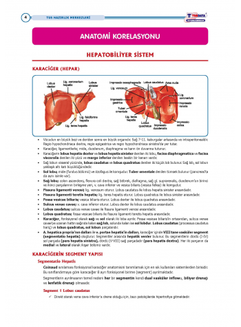 TUS Entegre Temel Hepatobiliyer Sistem