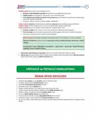 TUS Entegre Temel Üriner Sistem