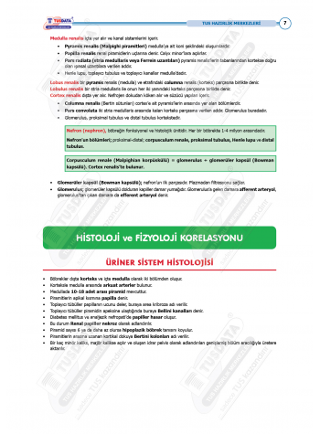 TUS Entegre Temel Üriner Sistem TUS Entegre Temel Üriner Sistem