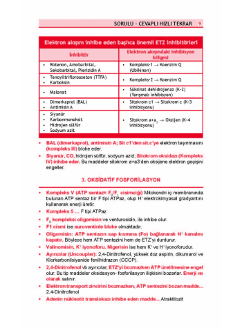 OPTİMUM REVİEW ( 8.Baskı ) BİYOKİMYA