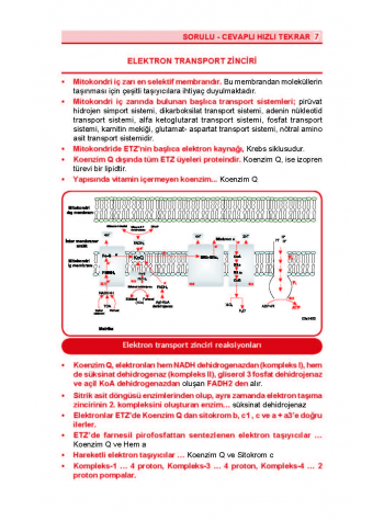 OPTİMUM REVİEW ( 8.Baskı ) BİYOKİMYA