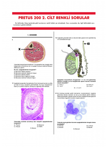 Pretus Deneme Sınavları - 200 ( 2.Cilt ) Pretus Deneme Sınavları - 200 ( 2.Cilt )