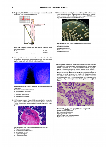 Pretus Deneme Sınavları - 200 ( 2.Cilt ) Pretus Deneme Sınavları - 200 ( 2.Cilt )