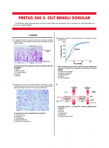 Pretus Deneme Sınavları - 200 ( 3.Cilt )