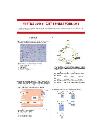 Pretus Deneme Sınavları - 200 ( 6.Cilt ) Pretus Deneme Sınavları - 200 ( 6.Cilt )