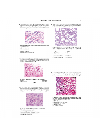 Pretus Deneme Sınavları - 200 ( 6.Cilt ) Pretus Deneme Sınavları - 200 ( 6.Cilt )