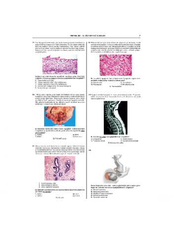 Pretus Deneme Sınavları - 200 ( 6.Cilt ) Pretus Deneme Sınavları - 200 ( 6.Cilt )