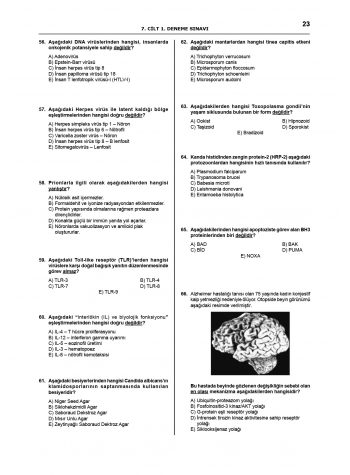 Pretus Deneme Sınavları - 200 ( 7.Cilt )