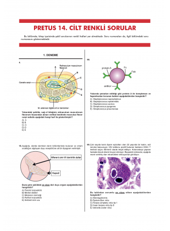 Pretus Deneme Sınavları / 14.Cilt