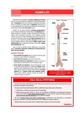 ProspekTUS ANATOMİ ( 4.Baskı ) 