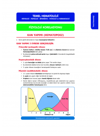 Entegre Konu Anlatımlarıyla ( 2.Baskı )