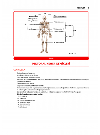 ProspekTUS ANATOMİ ( 4.Baskı ) 